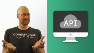 Build An API With The Django Rest Framework Using Python Build An API With The Django Rest Framework Using Python