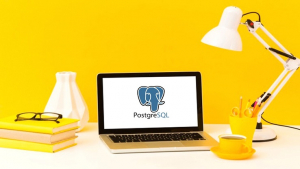 The Complete SQL Course from Scratch: Bootcamp The Complete SQL Course from Scratch: Bootcamp