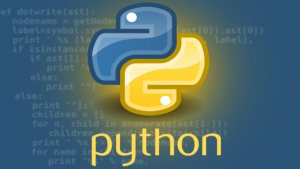 Python Programming from scratch with practicals Python Programming from scratch with practicals