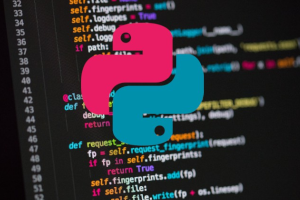 Python Programming Bootcamp: Hands-on Python Learning