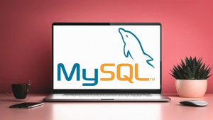 The Complete MySQL from Scratch: Bootcamp The Complete MySQL from Scratch: Bootcamp