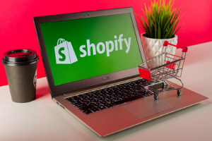 The Complete Shopify Making Money Selling E-books Course The Complete Shopify Making Money Selling E-books Course