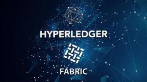 Hyperledger Fabric 2.x - First Practical Blockchain Hyperledger Fabric 2.x - First Practical Blockchain