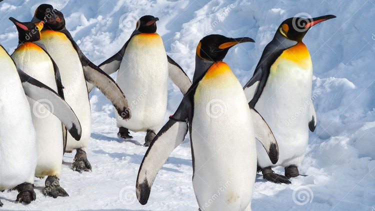 A Complete Guide on Linux LVM A Complete Guide on Linux LVM