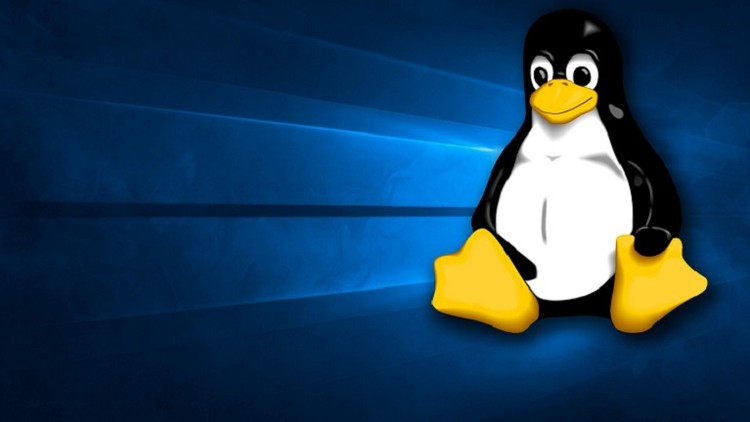 Linux common boot issues and basic system recovery Linux common boot issues and basic system recovery