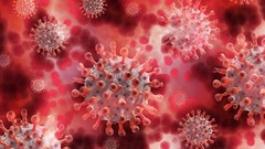 Datascience:COVID-19 Pneumonia Classification(Deep learning) Datascience:COVID-19 Pneumonia Classification(Deep learning)