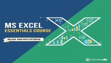 MS Excel Essentials Course