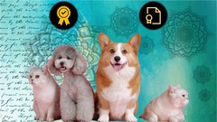 Fully Accredited Certified Animal Reiki Practitioner Training Fully Accredited Certified Animal Reiki Practitioner Training