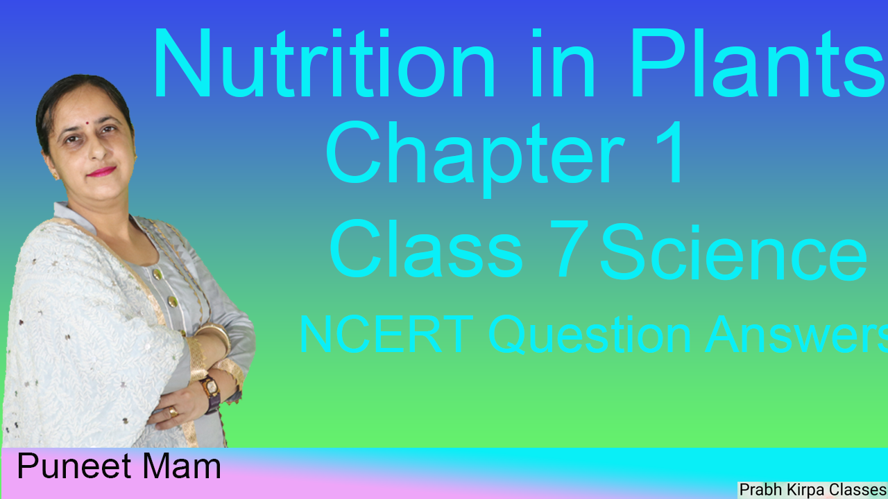 Nutrition In Plants Chapter 1 Class 7 Science Nutrition In Plants Chapter 1 Class 7 Science