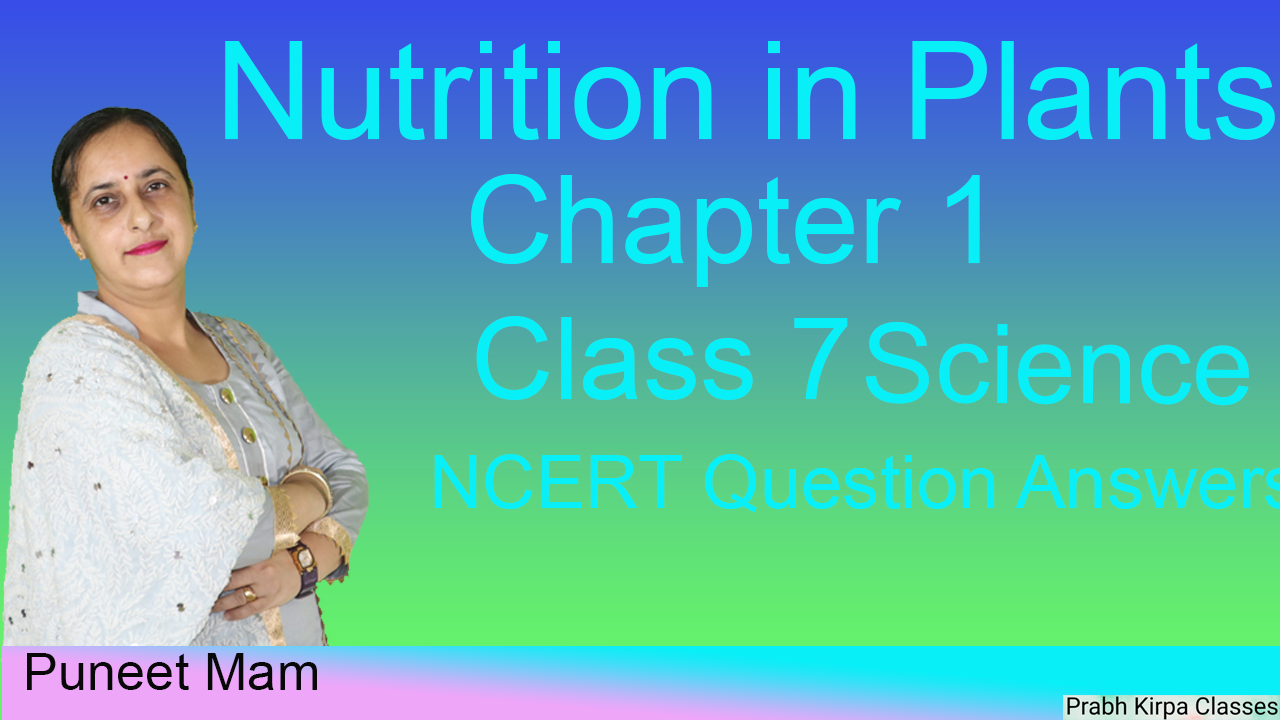 Nutrition In Plants Chapter 1 Class 7 Science