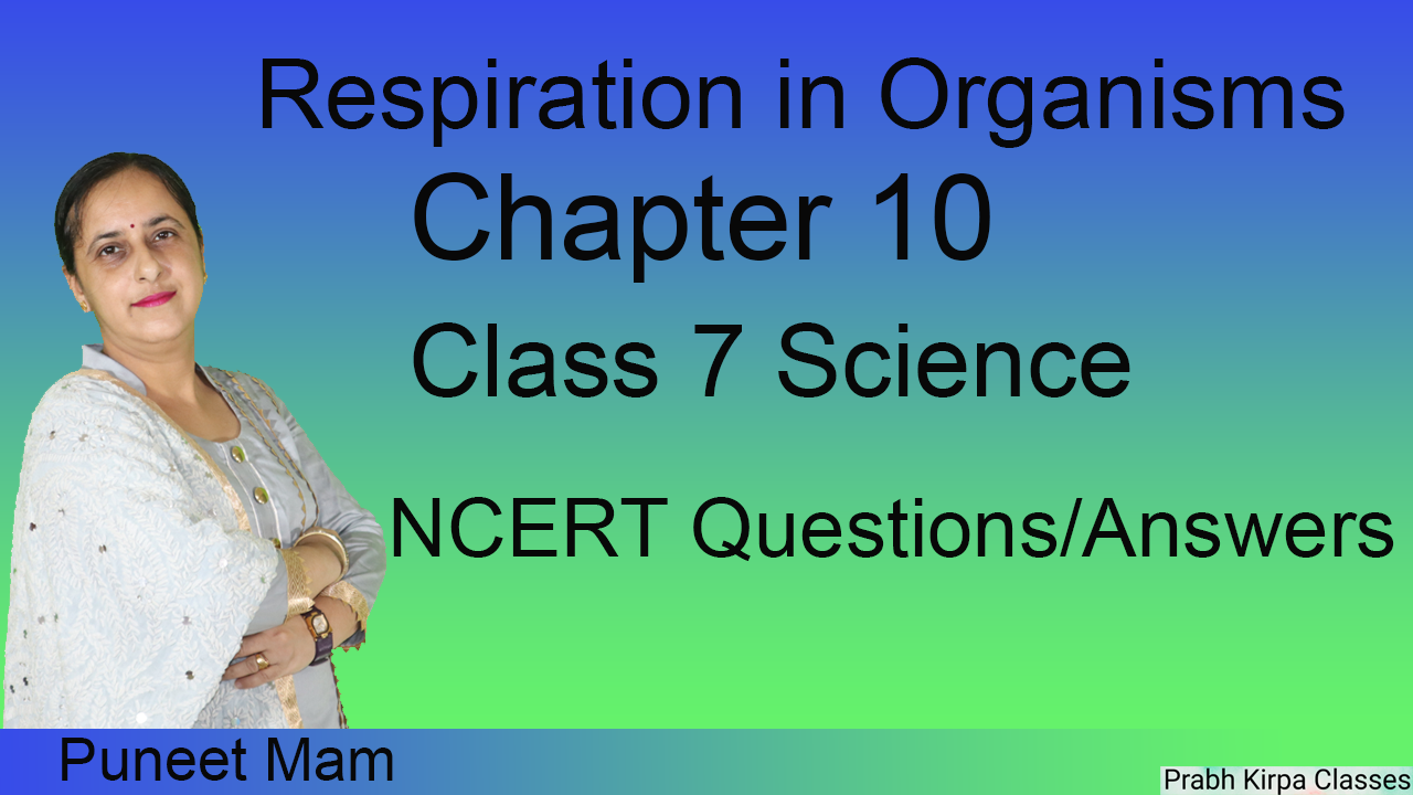 Respiration in Organisms Chapter 10 Class 7 Science Respiration in Organisms Chapter 10 Class 7 Science
