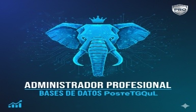 Administrador profesional en bases de datos PostgreSQL