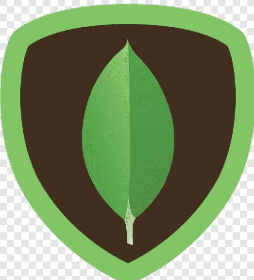 Introduction to MongoDB Administration Introduction to MongoDB Administration