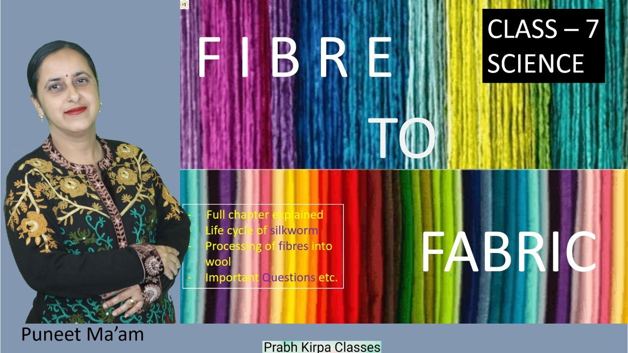Fiber to Fabric Class 7 Science Fiber to Fabric Class 7 Science
