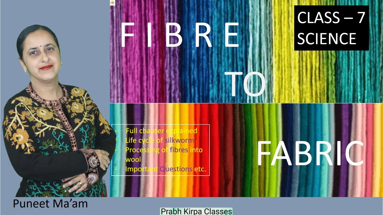 Fiber to Fabric Class 7 Science