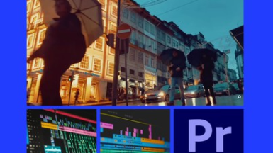 Video Editing using Adobe Premiere Pro CC in Tamil