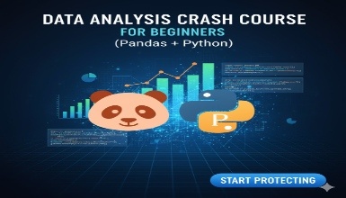 Data Analysis Crash Course for Beginners (Pandas + Python)