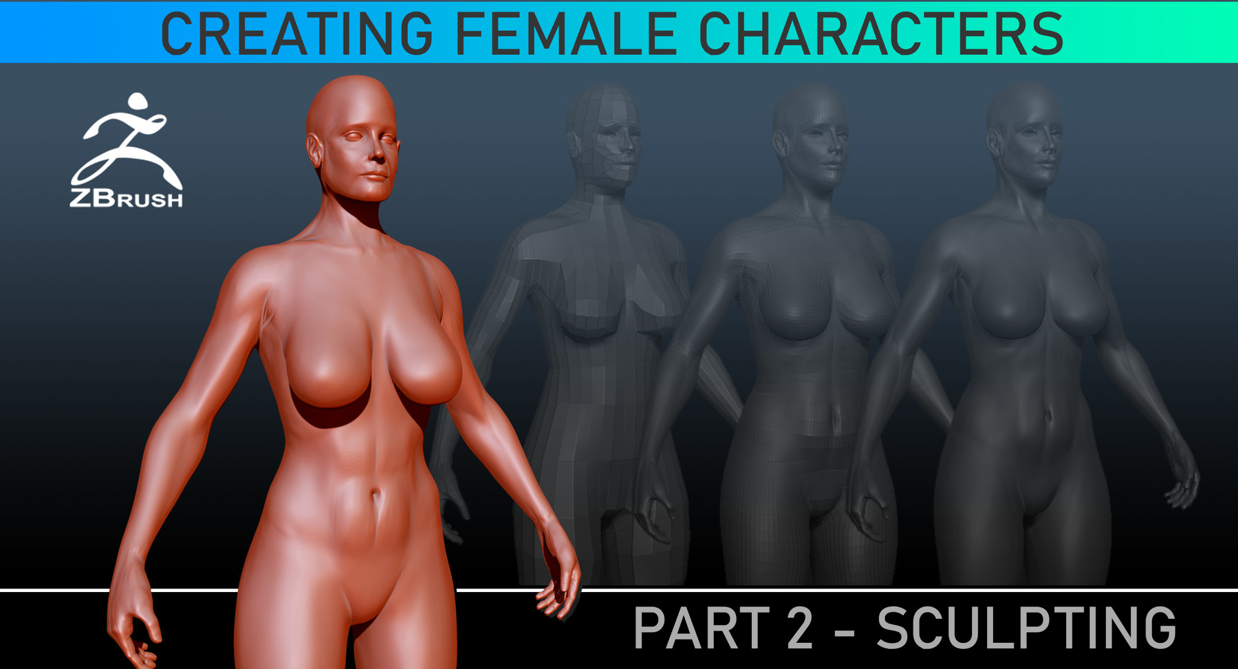 Sculpting Anatomy - ZBrush Course