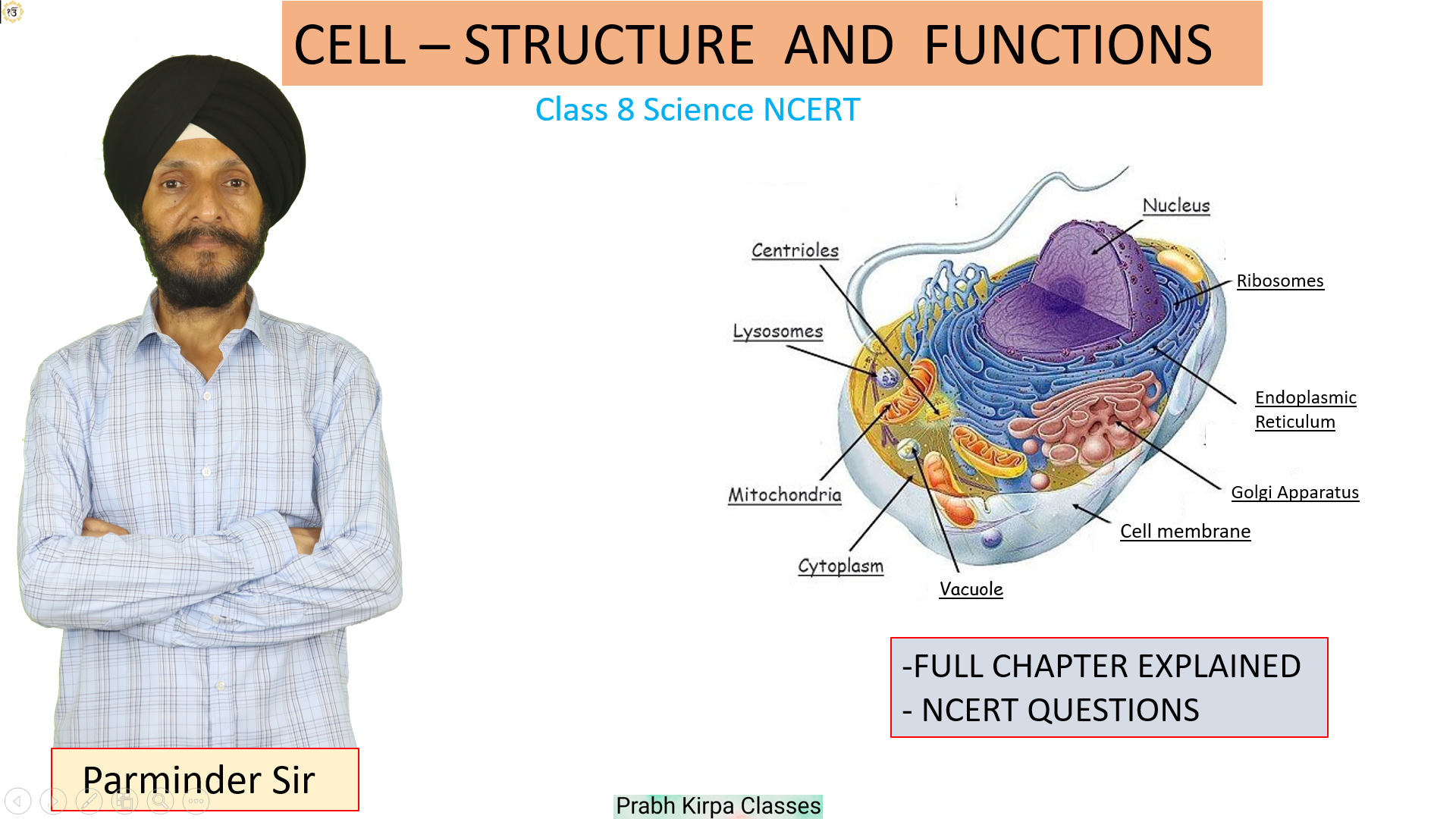 Cell - Structure and Functions Cell - Structure and Functions