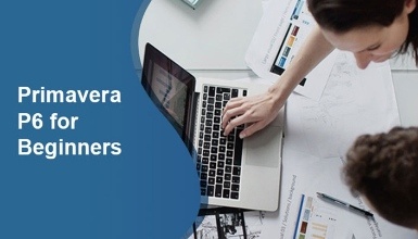 Primavera P6 for Beginners